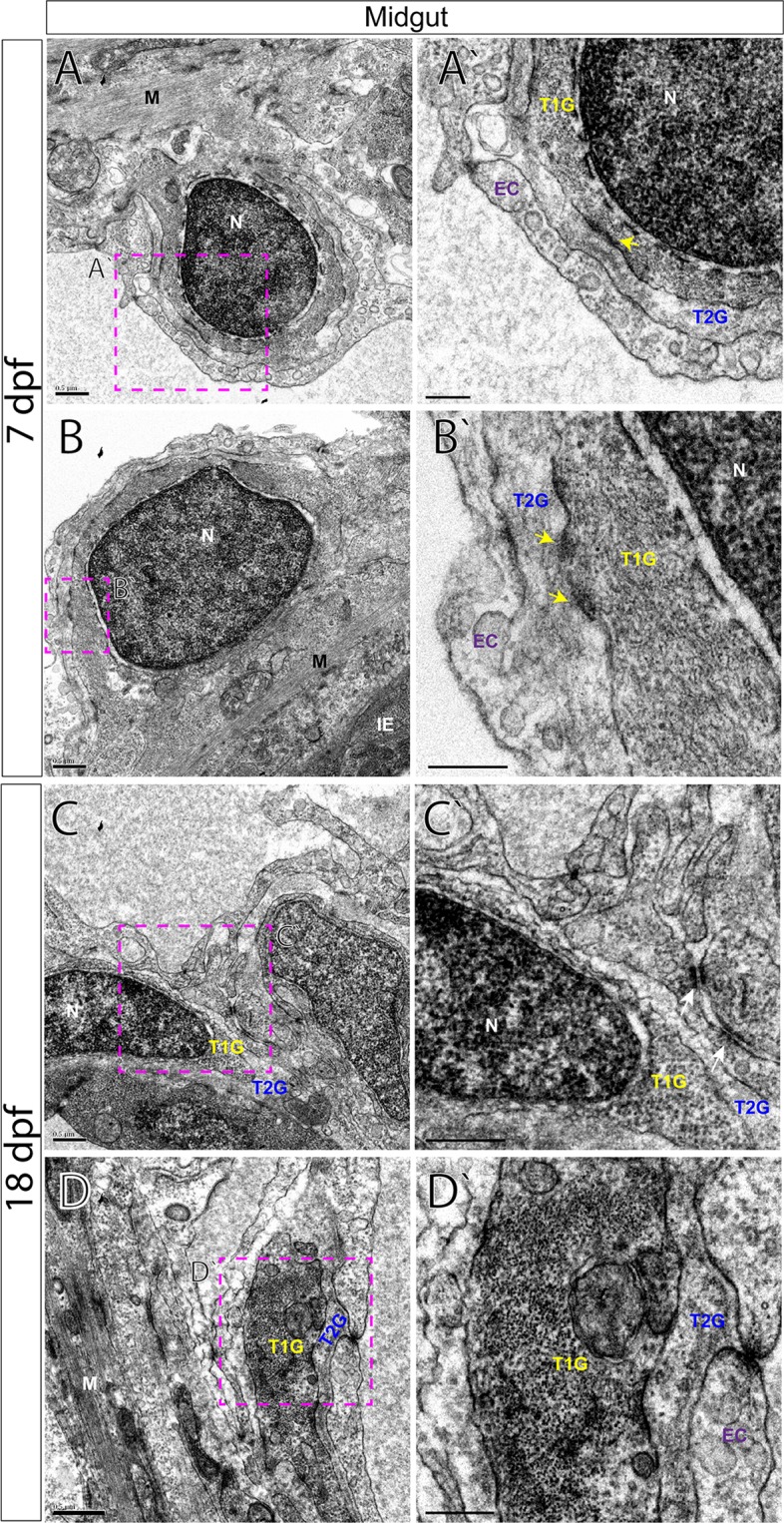 Figure 7