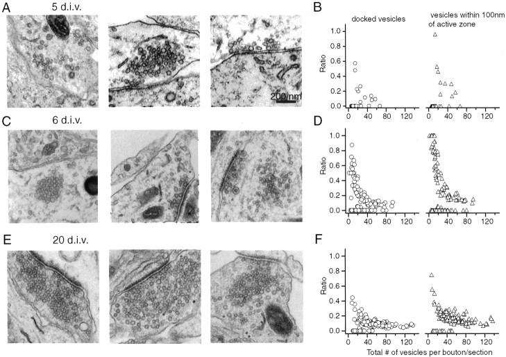 Fig. 8.