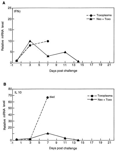 FIG. 6