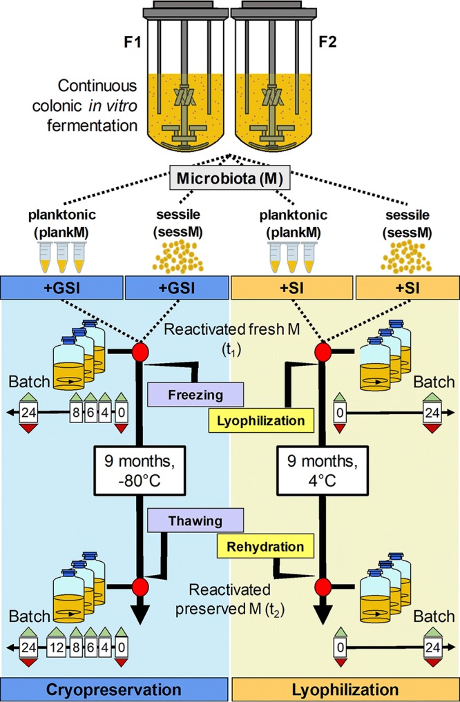 FIG 1