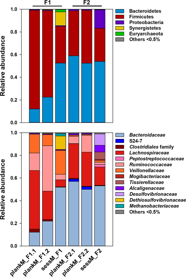 FIG 3