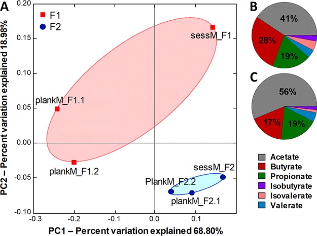 FIG 2