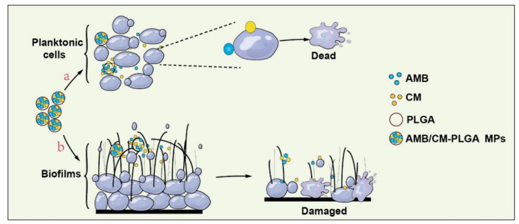 Scheme 1