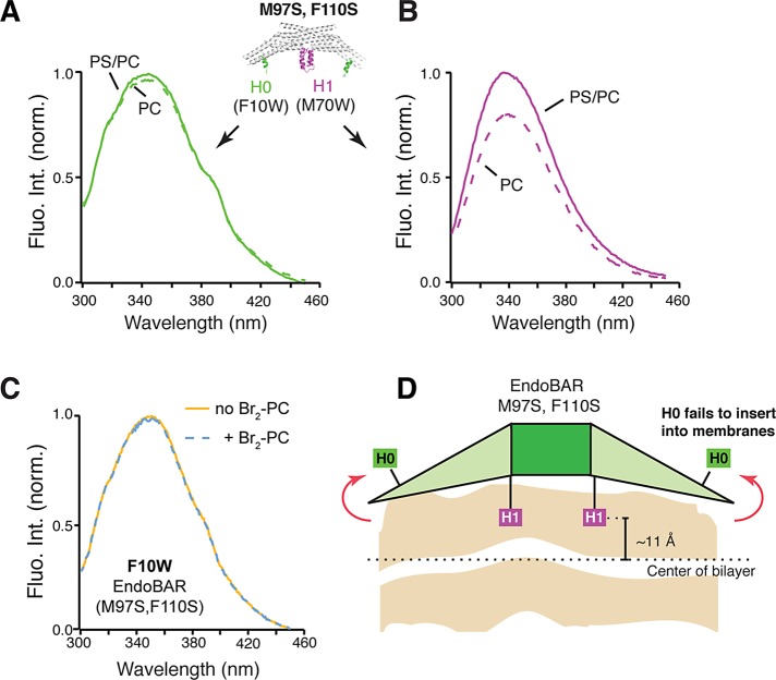 FIGURE 6: