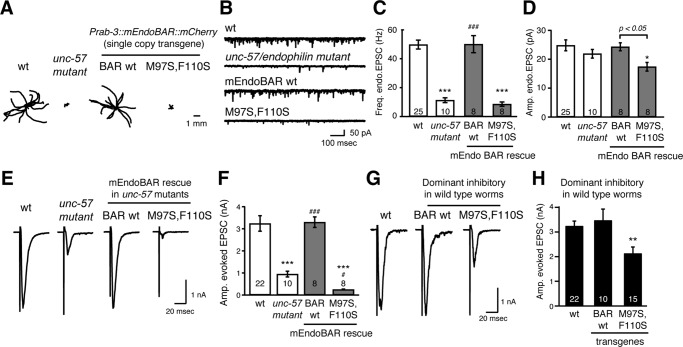 FIGURE 7: