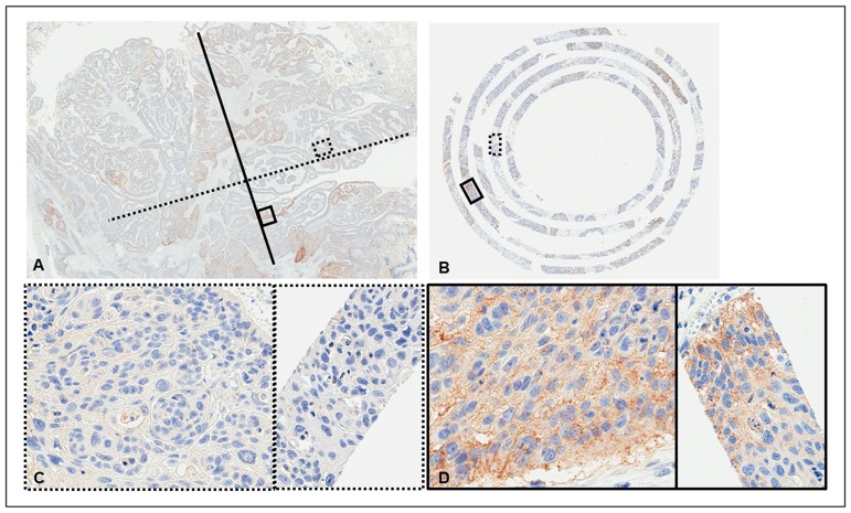 Fig 7