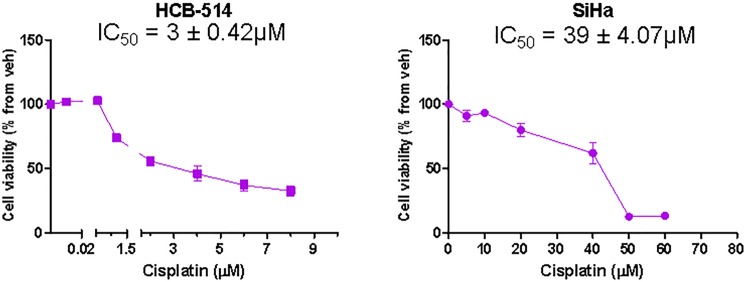 Figure 8