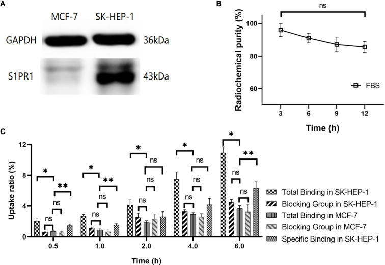 Figure 1