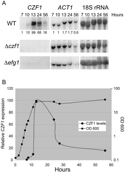 FIG. 3.