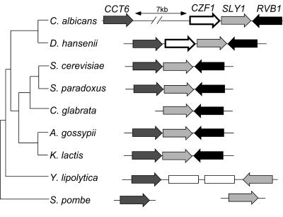 FIG. 1.