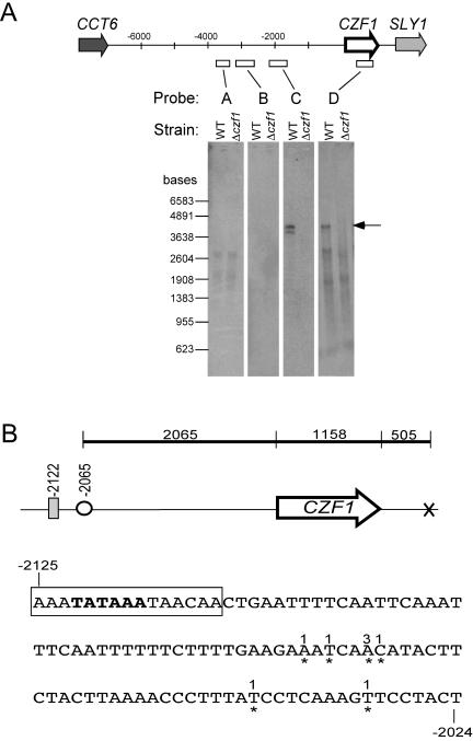 FIG. 2.