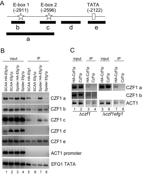 FIG. 6.