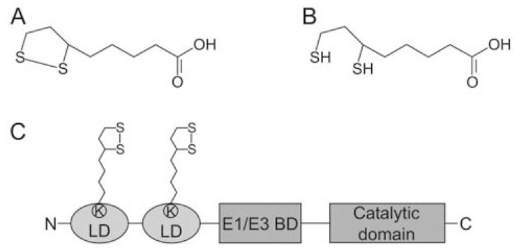 Fig. (1)