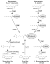 Fig. (3)