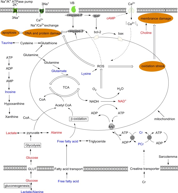 Fig 11