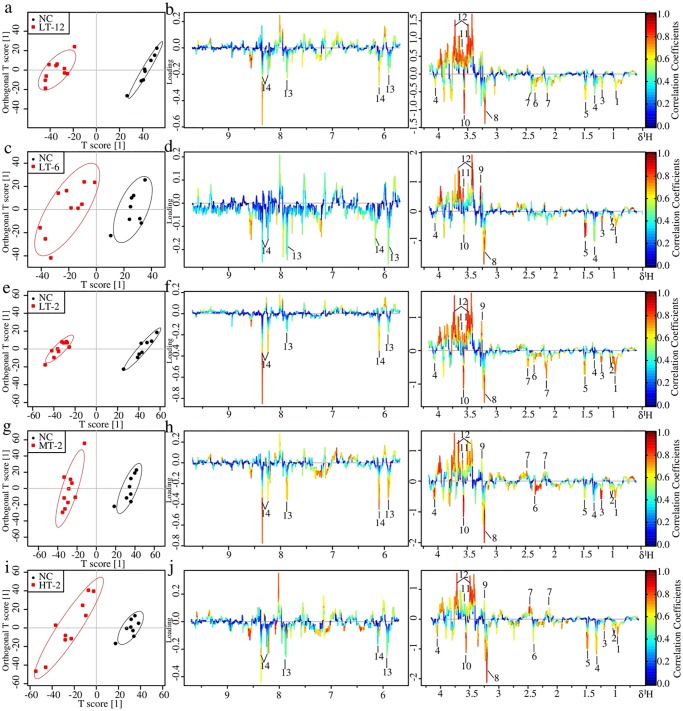 Fig 10