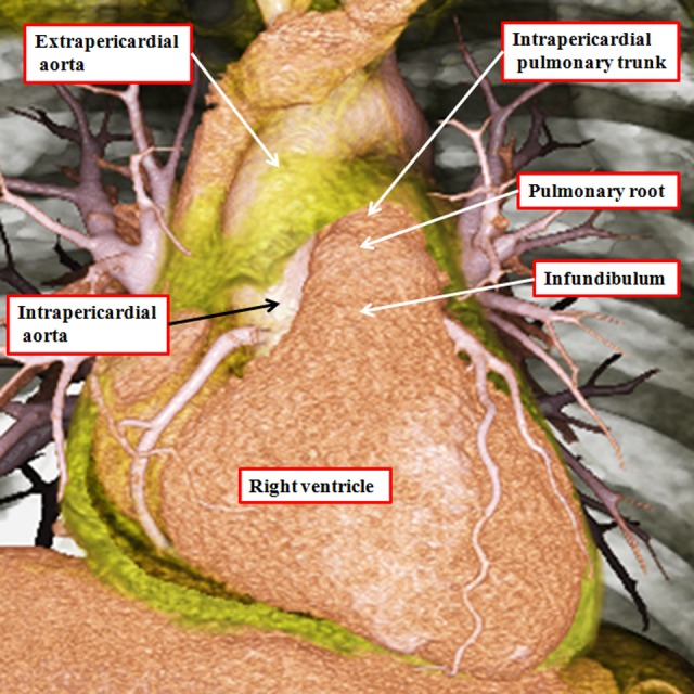 Figure 10.