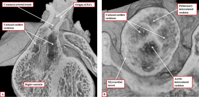 Figure 19.