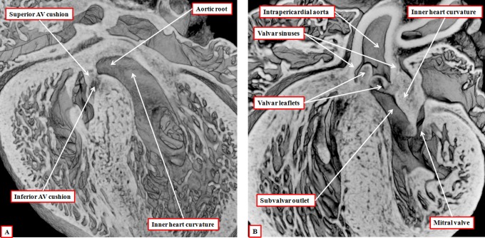 Figure 9.