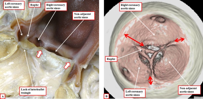 Figure 20.