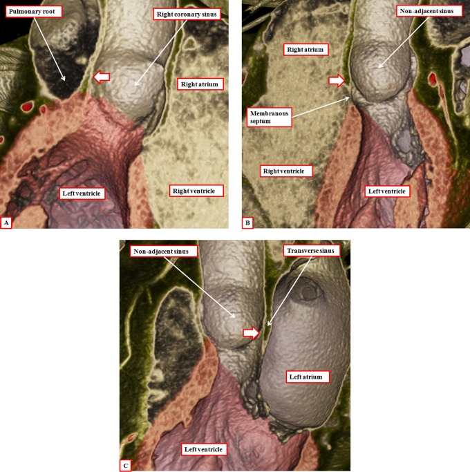 Figure 16.