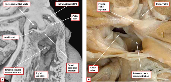 Figure 21.