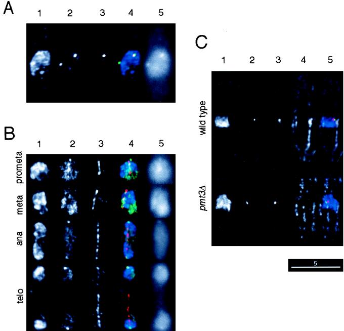 FIG. 7