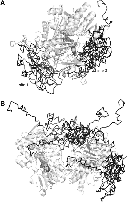 FIG. 12.