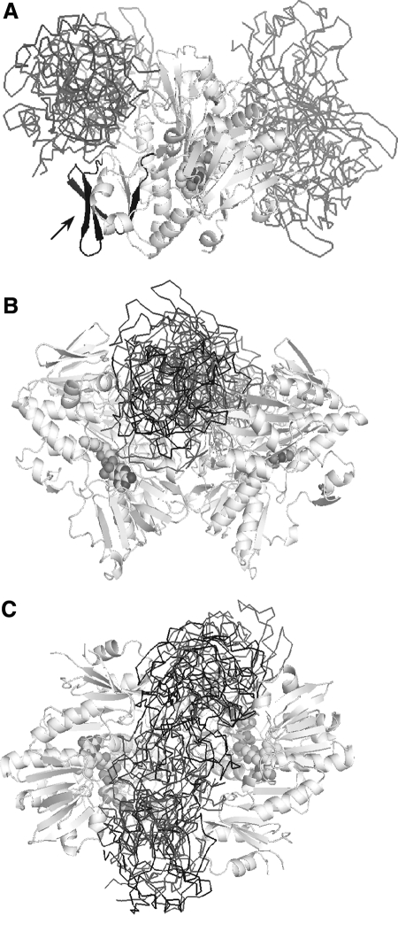 FIG. 13.