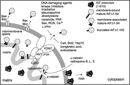 FIG. 9.