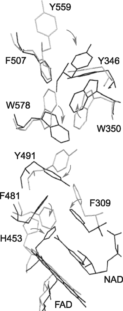 FIG. 7.