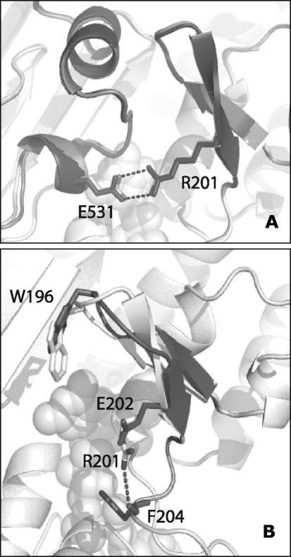 FIG. 17.