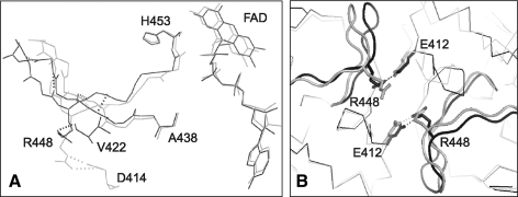 FIG. 5.