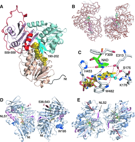 FIG. 4.