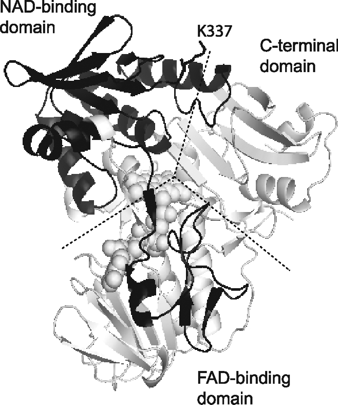 FIG. 14.