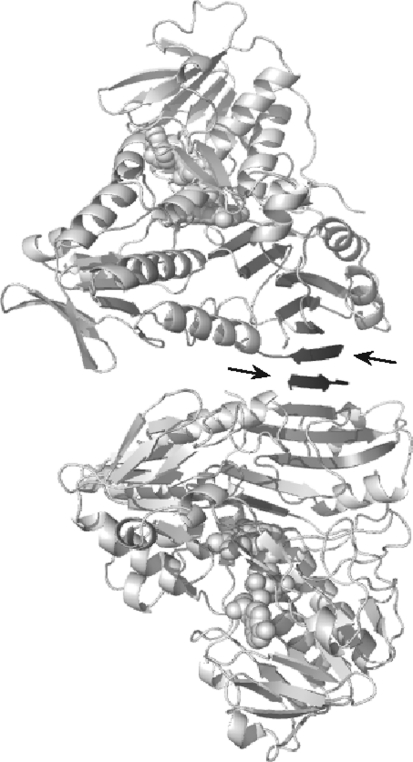 FIG. 6.