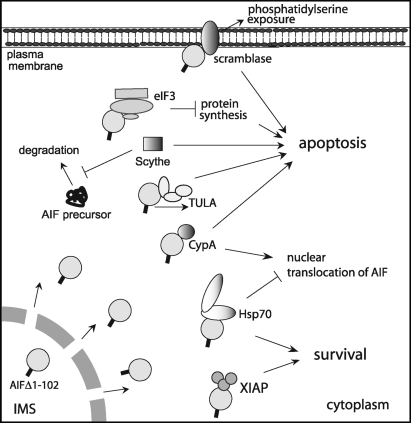 FIG. 10.