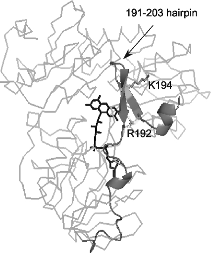 FIG. 11.