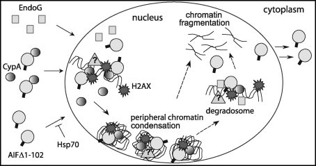 FIG. 15.