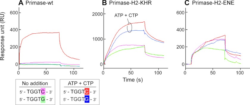 FIGURE 7.