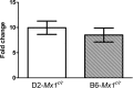 FIG 8