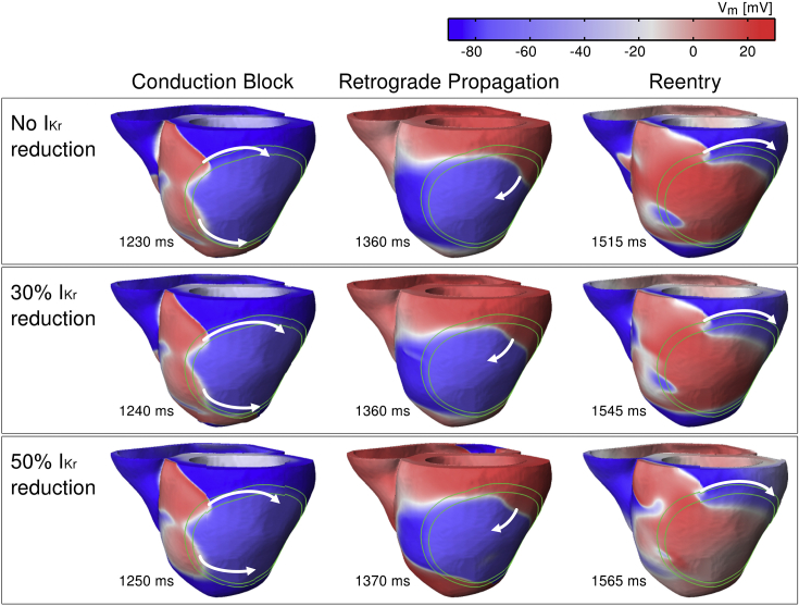 Fig. 3