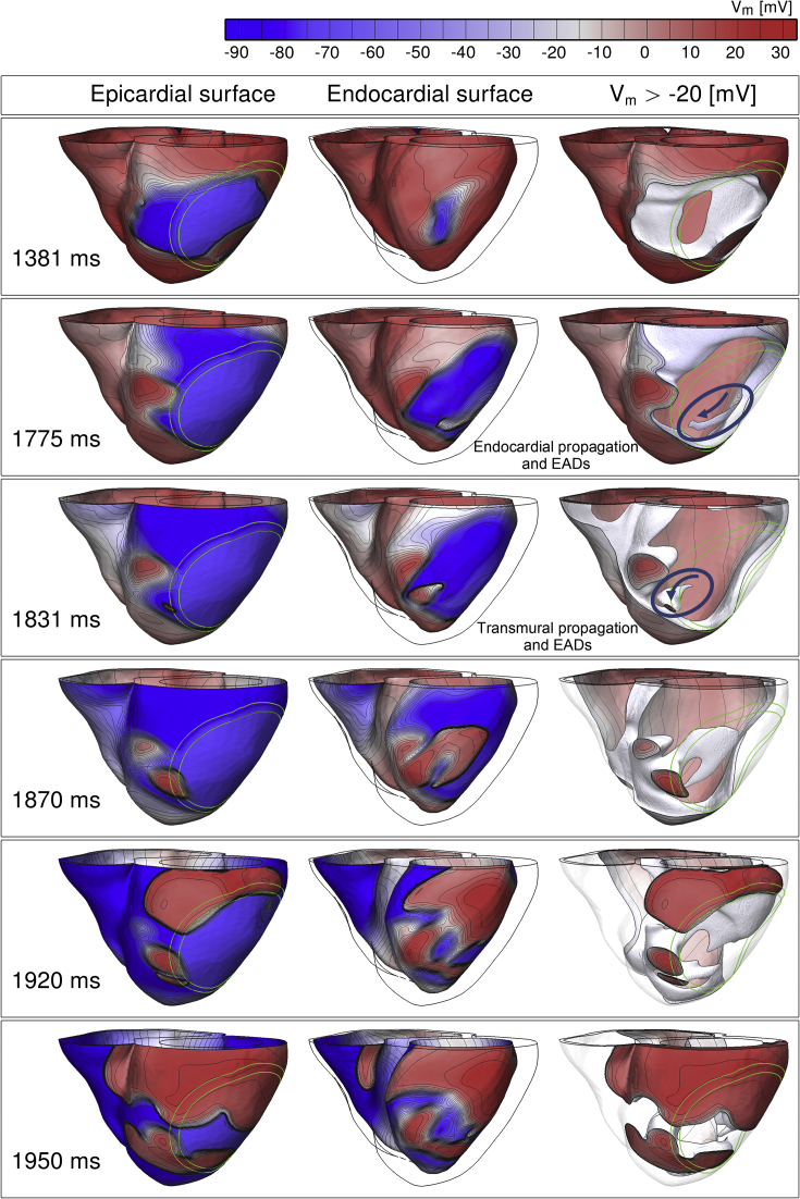 Fig. 4