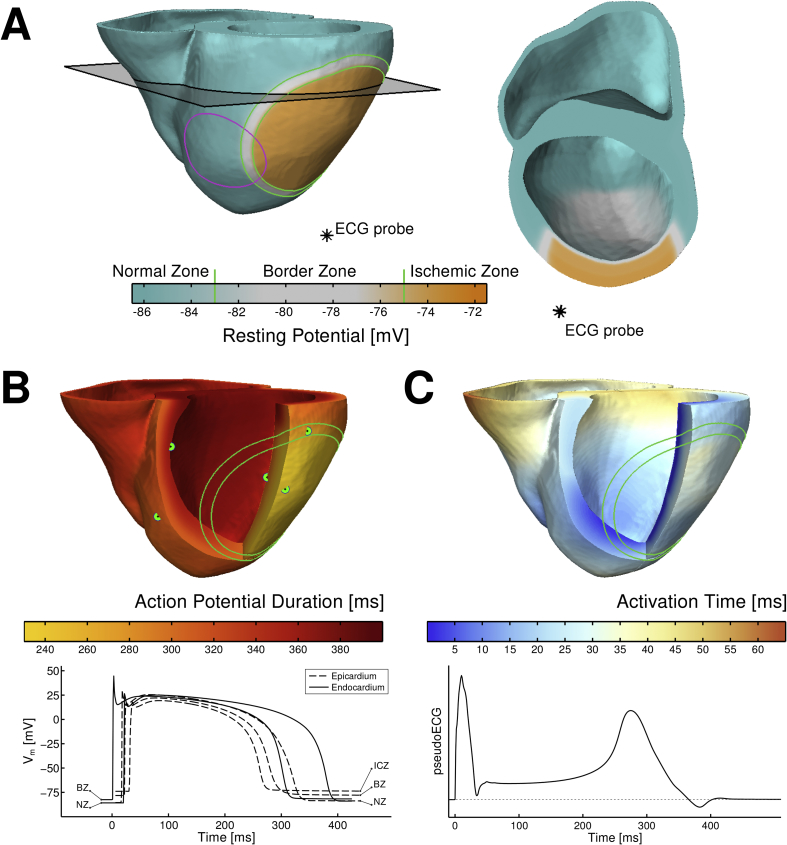 Fig. 1