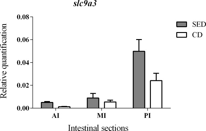 Fig 5