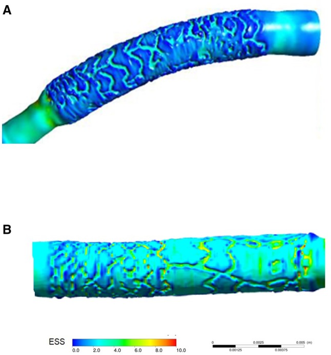 Fig. 5