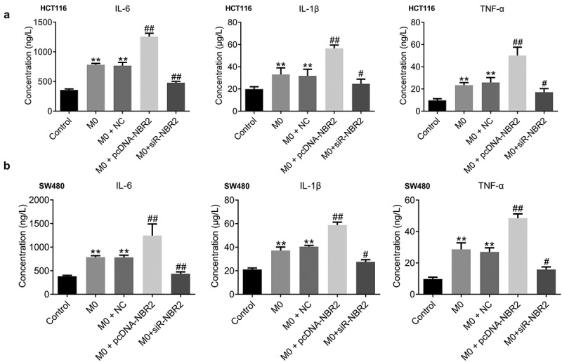 Figure 6.