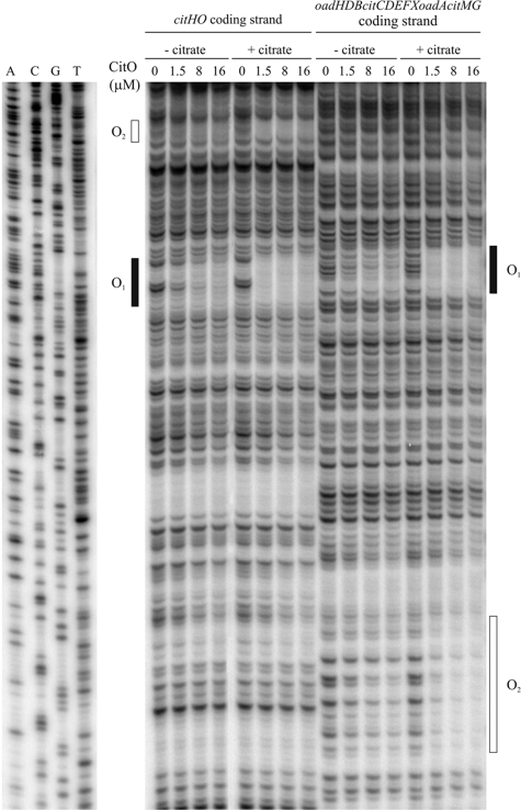 FIG. 7.