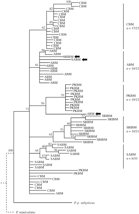 Figure 3.