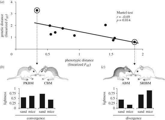 Figure 4.